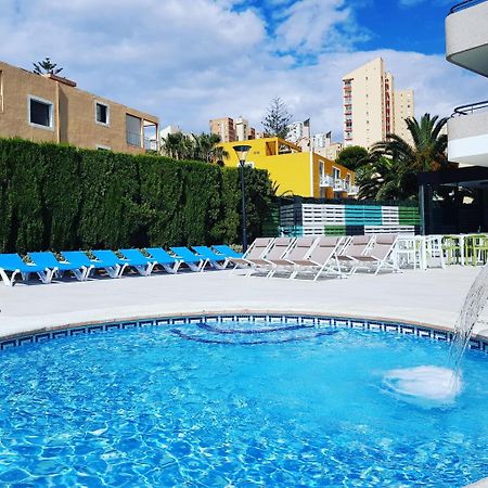Primavera Loix Benidorm Bagian luar foto